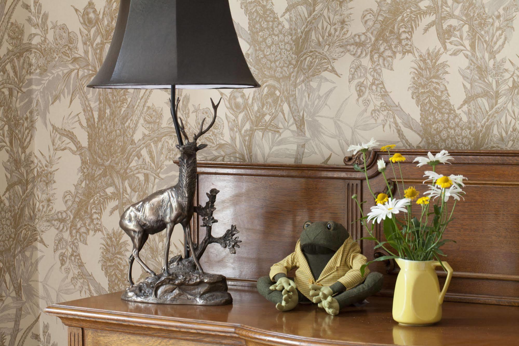 Firhall Highland B&B Grantown-on-Spey Εξωτερικό φωτογραφία